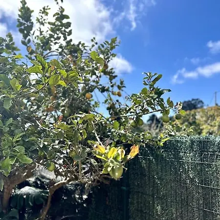 La Casita De Zamorano & Jacuzzi Santa Cruz de Tenerife